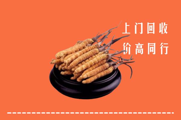 高价求购：德化县回收散虫草