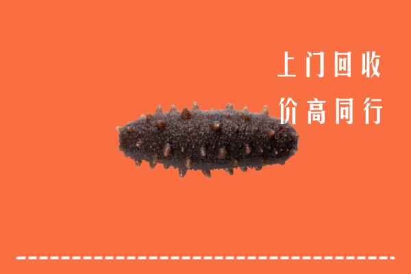 高价求购：德化县回收海参