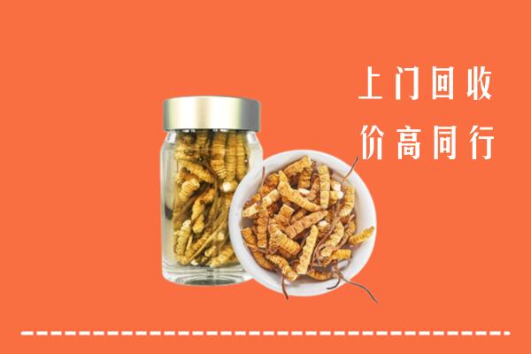 德化县回收冬虫夏草