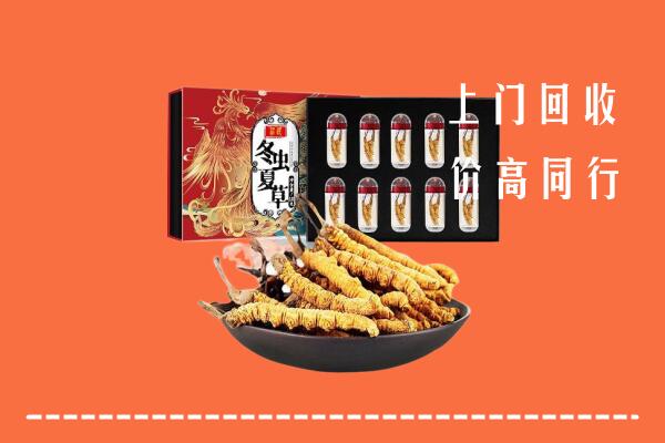 德化县回收虫草